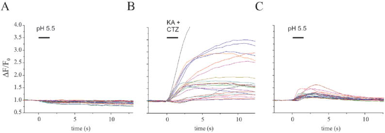 Fig. 10