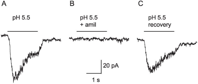 Fig. 5