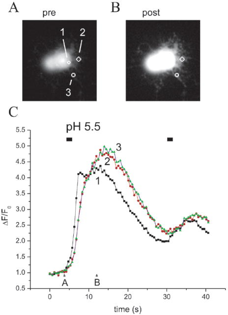 Fig. 11