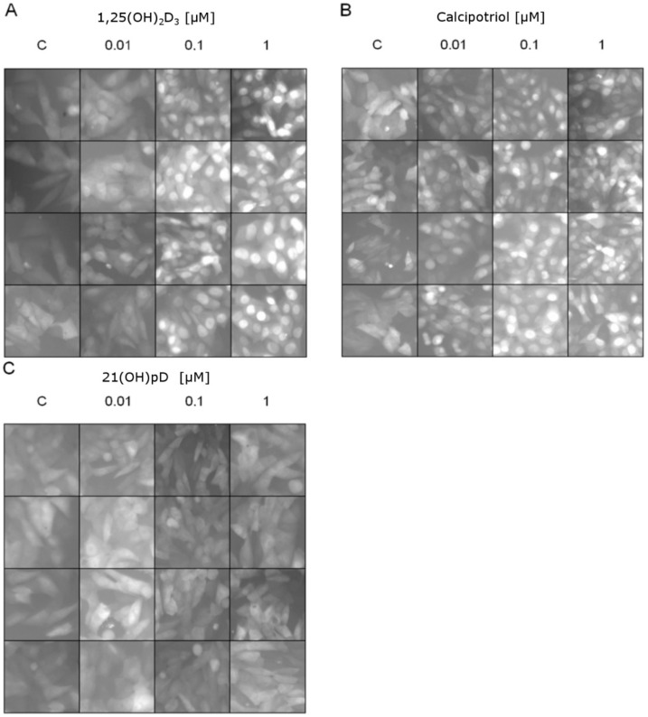 Figure 7