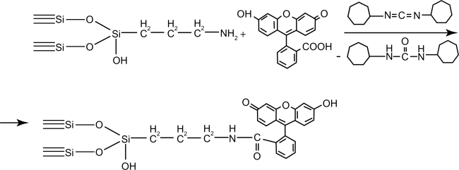 Scheme 2