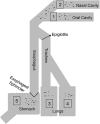 FIG 1