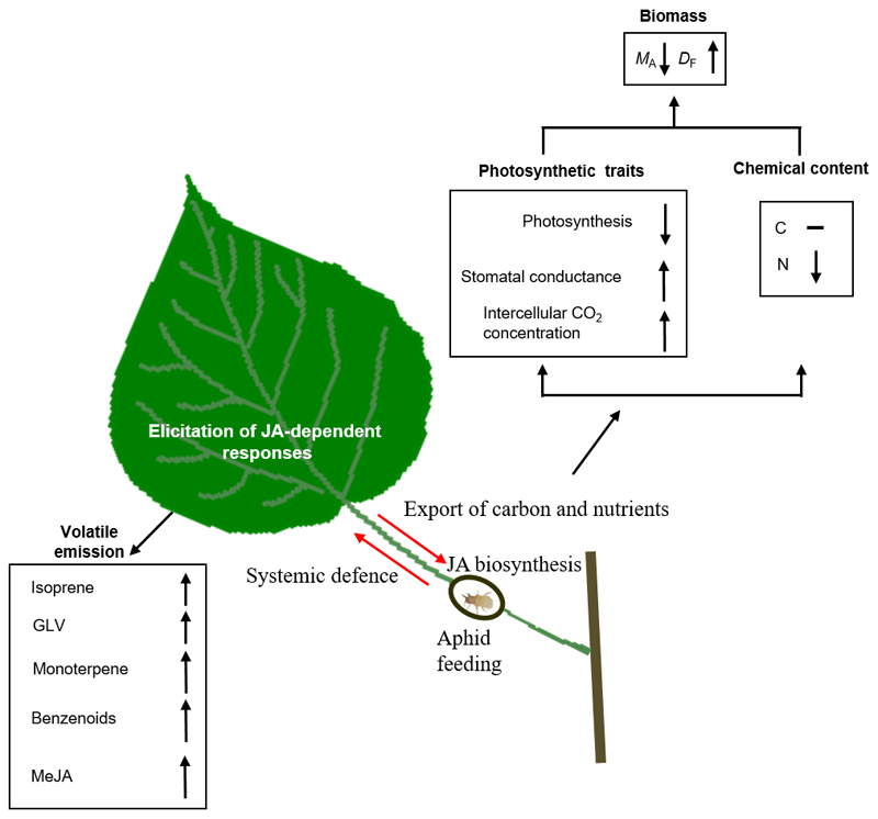 Fig. 7