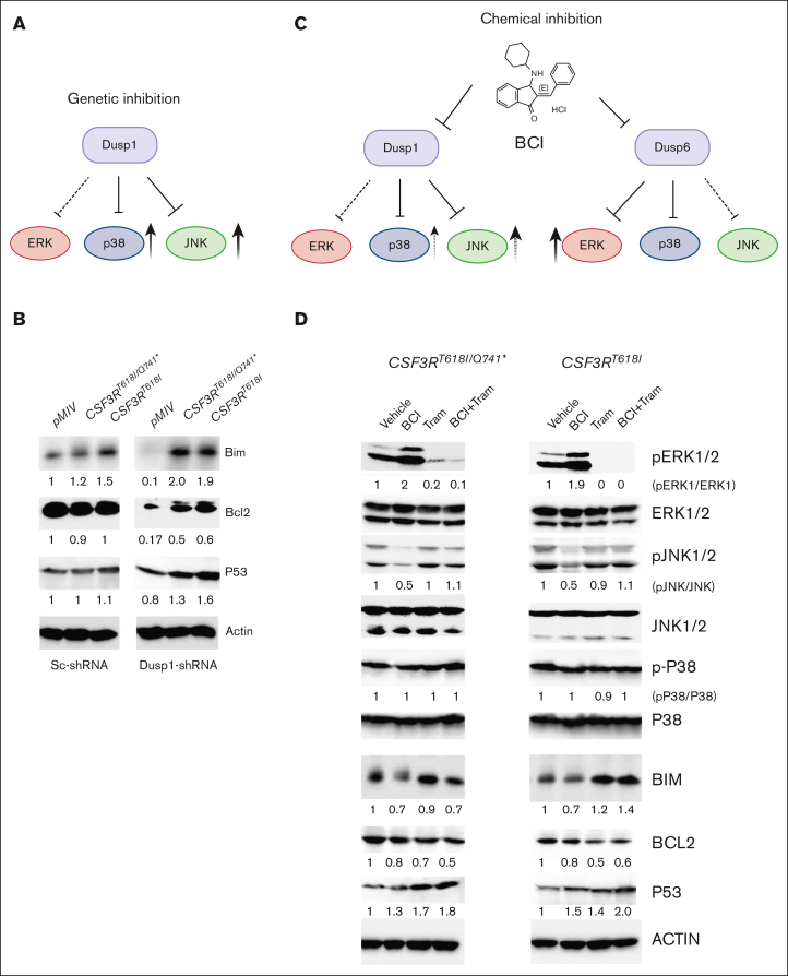 Figure 4.