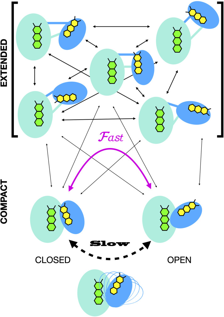 Fig. 9