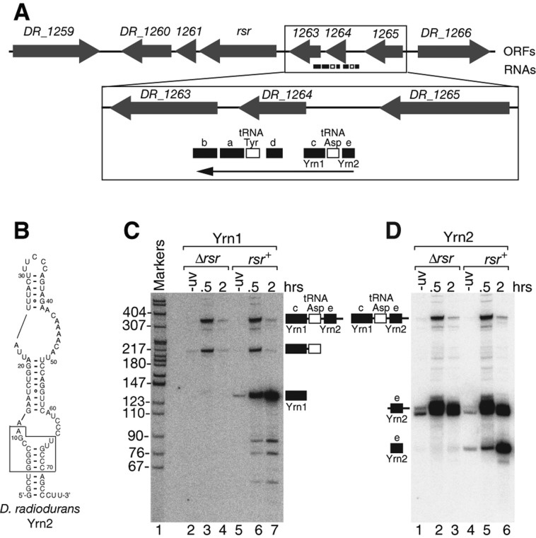 FIGURE 4.