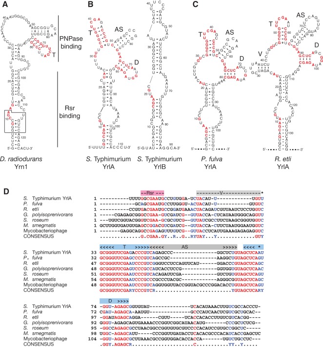 FIGURE 1.