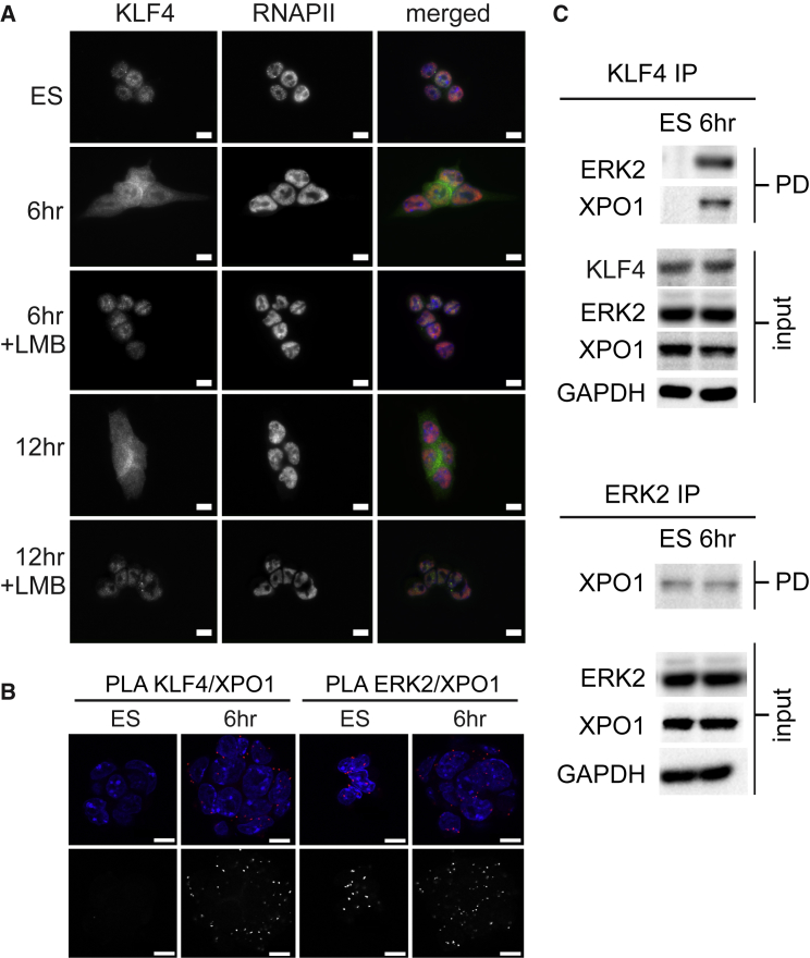 Figure 4