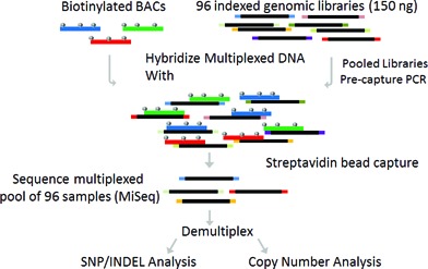 Figure 1.