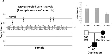 Figure 6.