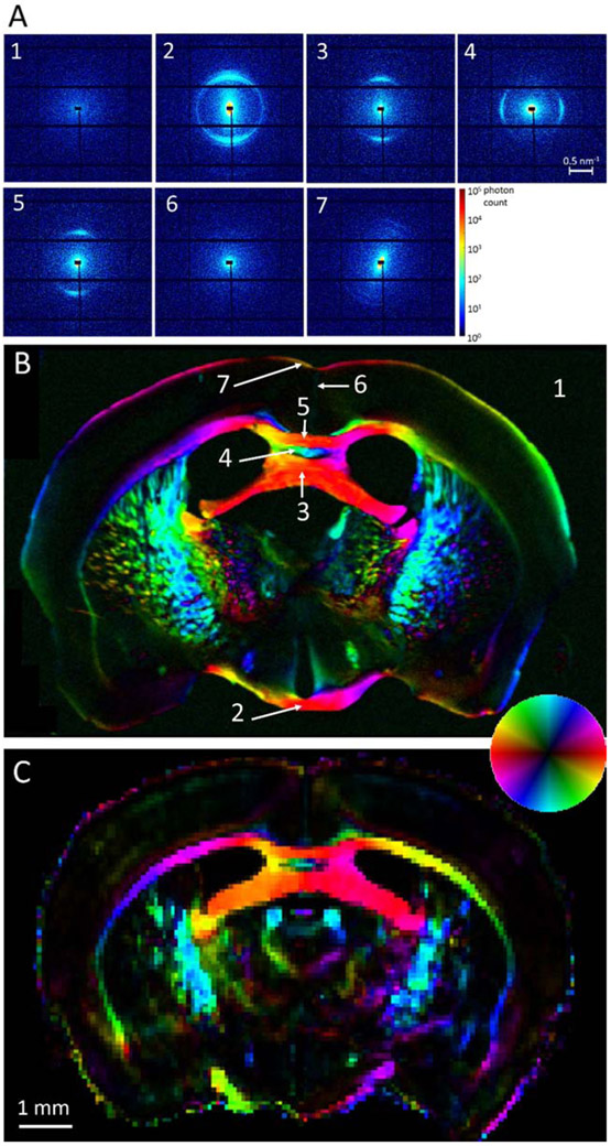 Figure 2.