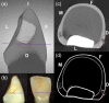 Fig. 6