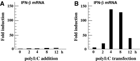 Fig. 4