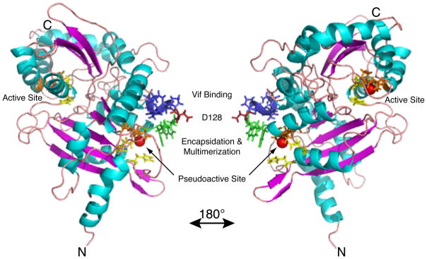 Fig. 4