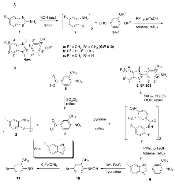 Scheme 1