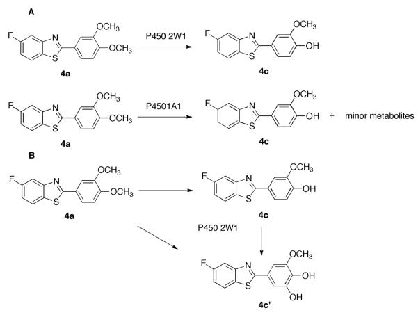 Scheme 2