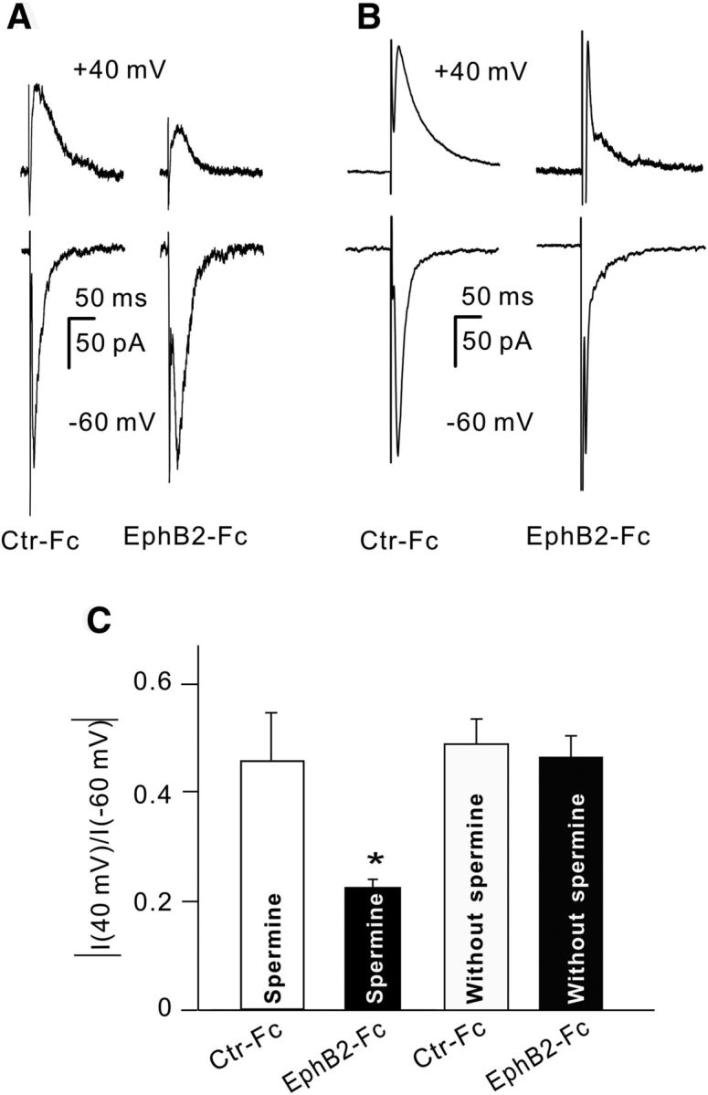 Figure 11.