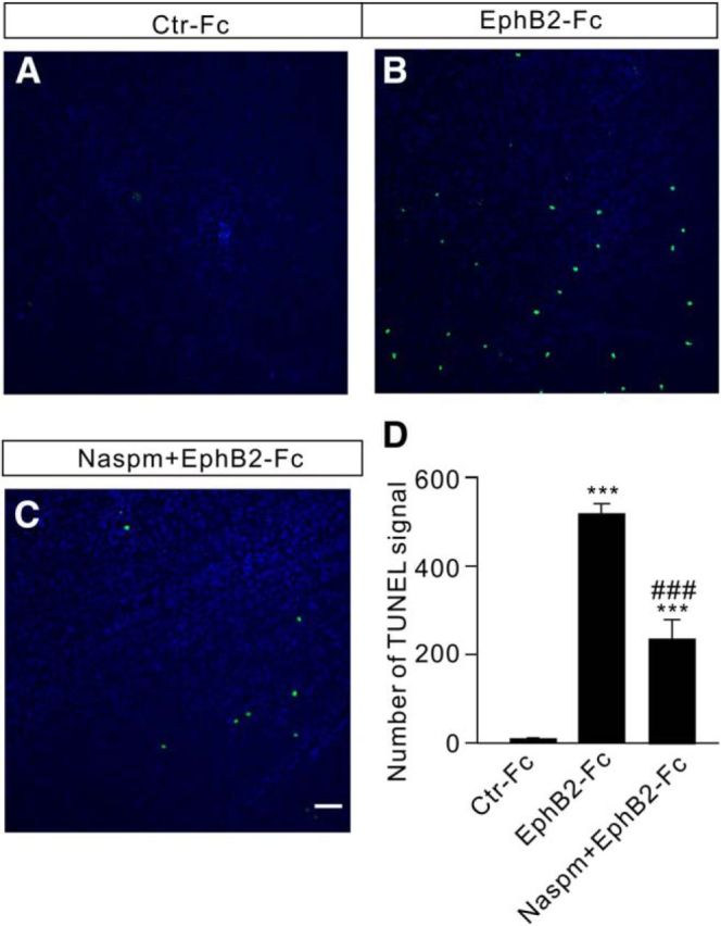 Figure 12.