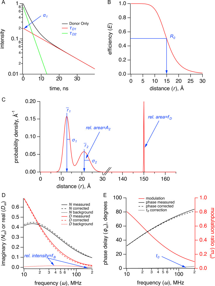 Figure 5—figure supplement 2.