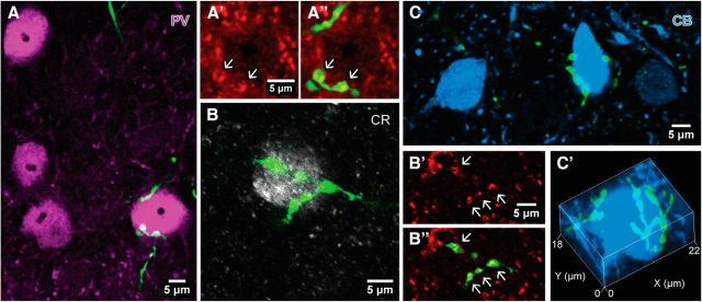 Figure 4.