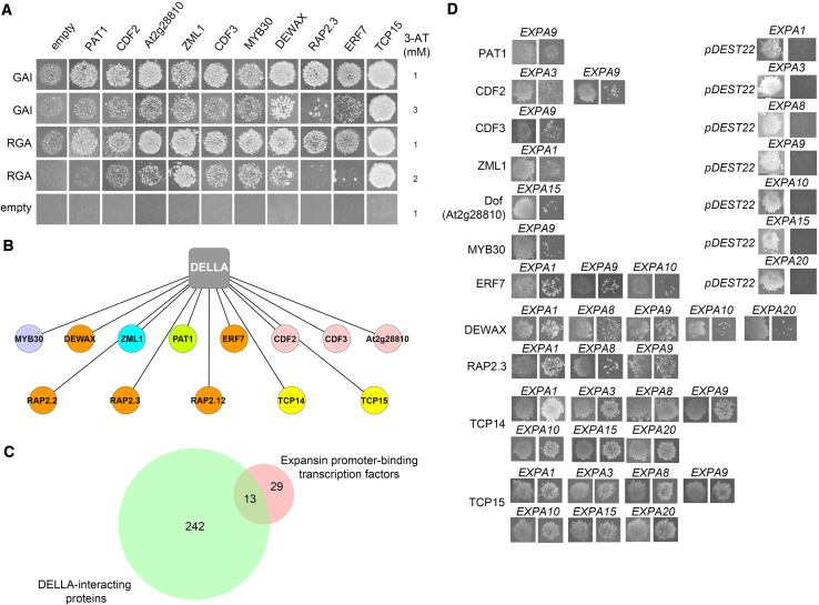 Figure 3