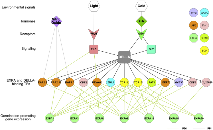 Figure 4