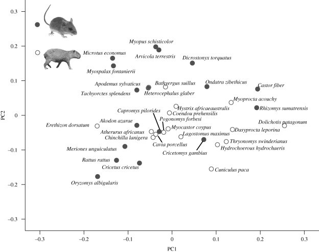 Figure 2.