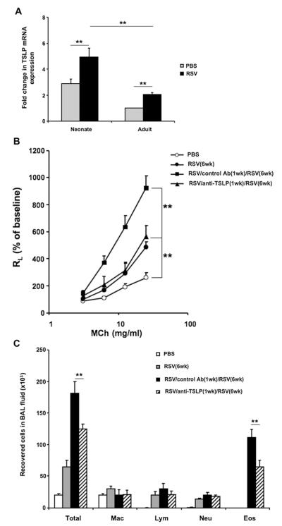 FIG 6