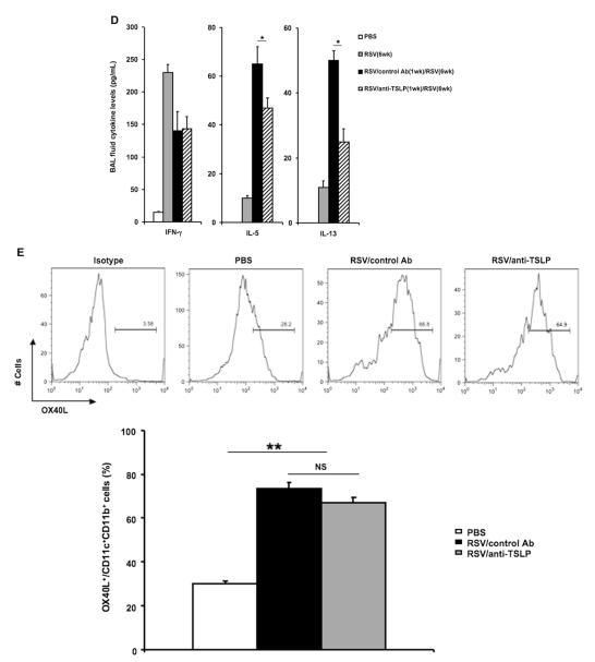 FIG 6