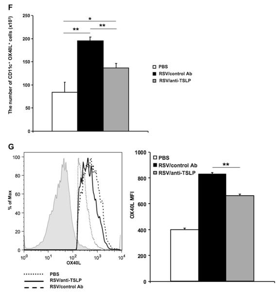 FIG 6