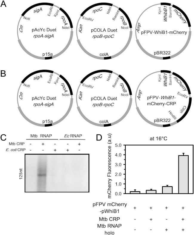 FIG 3