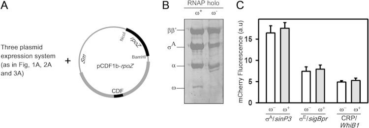 FIG 4