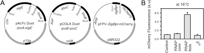 FIG 2