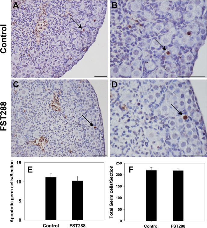 Fig 5