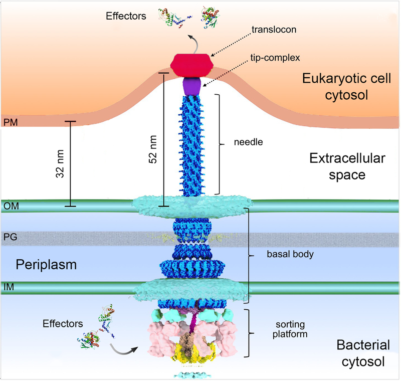 Figure 3.