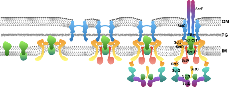 Figure 2.