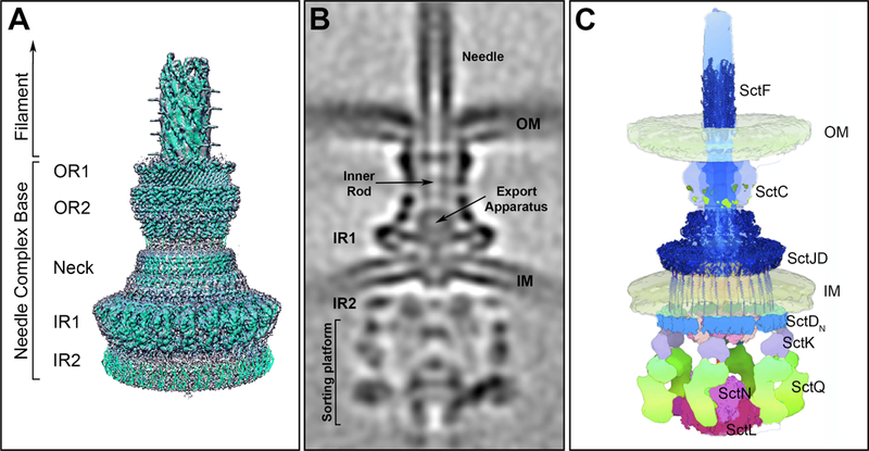 Figure 1.