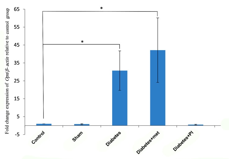 Fig.2