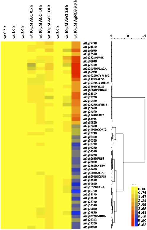 Figure 7.