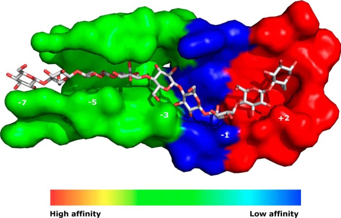 FIGURE 6.