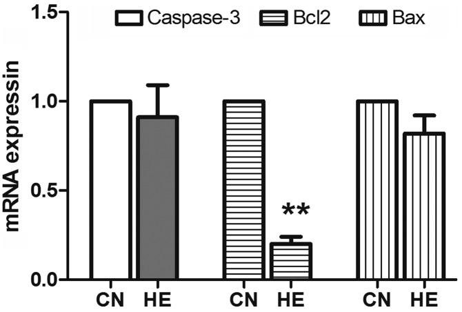 Figure 9.