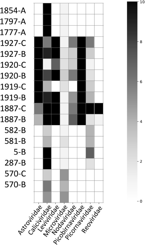 Fig. 2