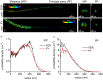 Fig. 6.