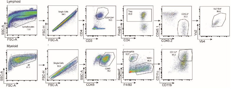 Figure 6—figure supplement 1.