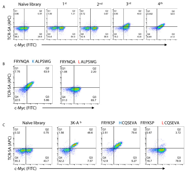 Figure 1—figure supplement 2.