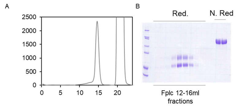 Figure 2—figure supplement 1.