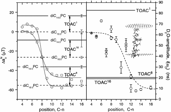 Fig. 8