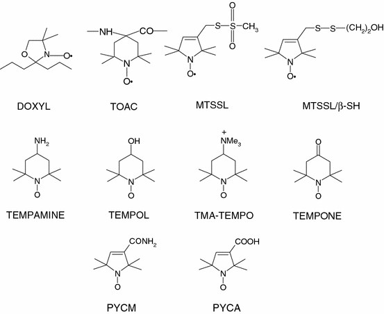 Fig. 2