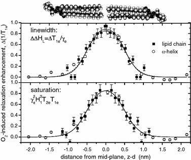 Fig. 7