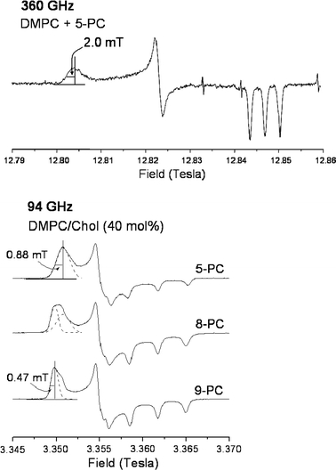 Fig. 6